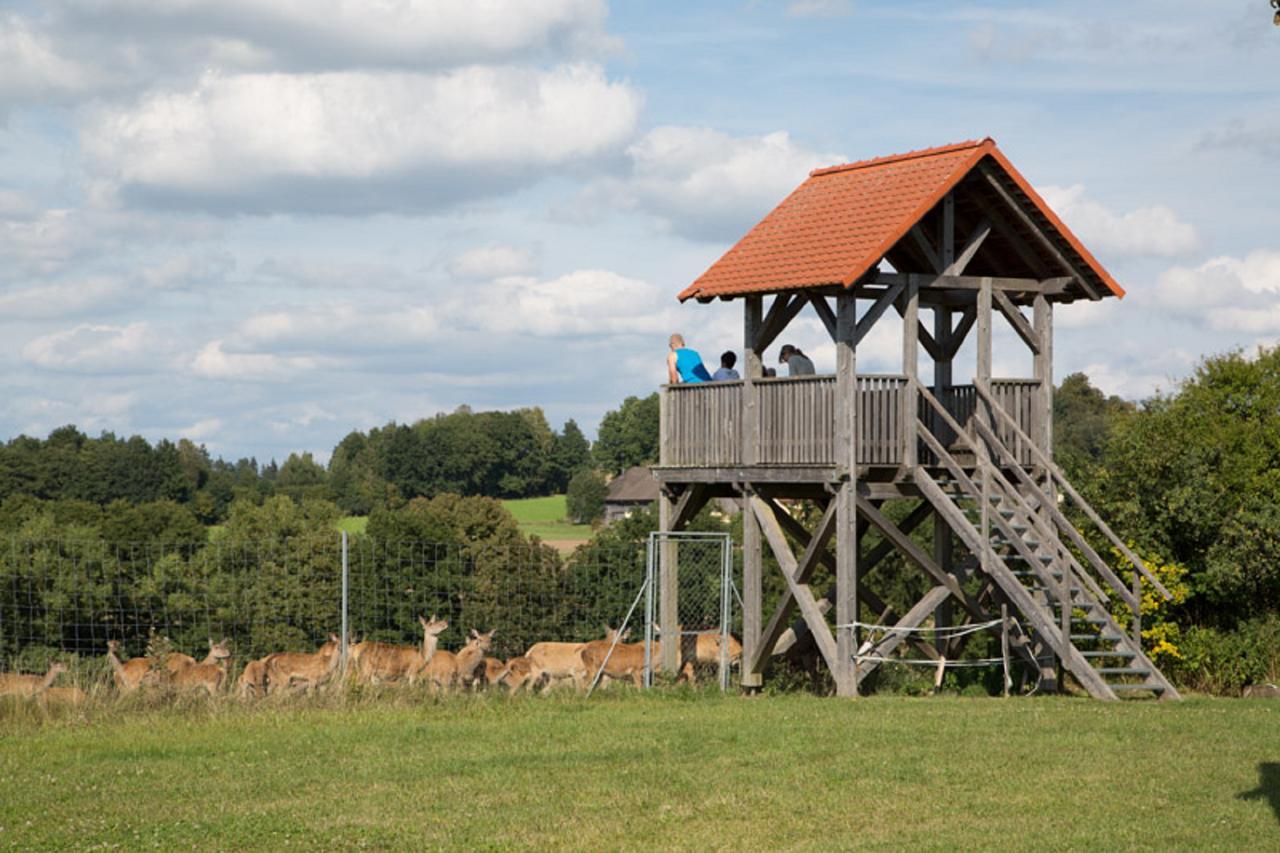 Scheidlerhof Leilighet Theisseil Eksteriør bilde